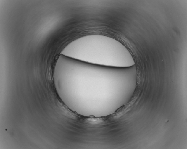 X0000112730477200908201017
