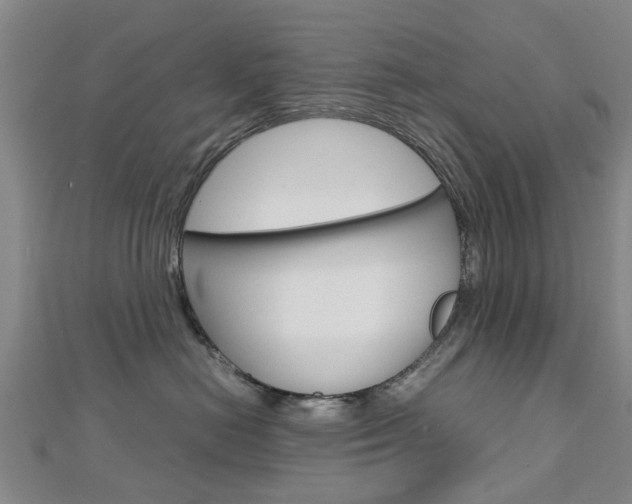 X0000112730478200908201017