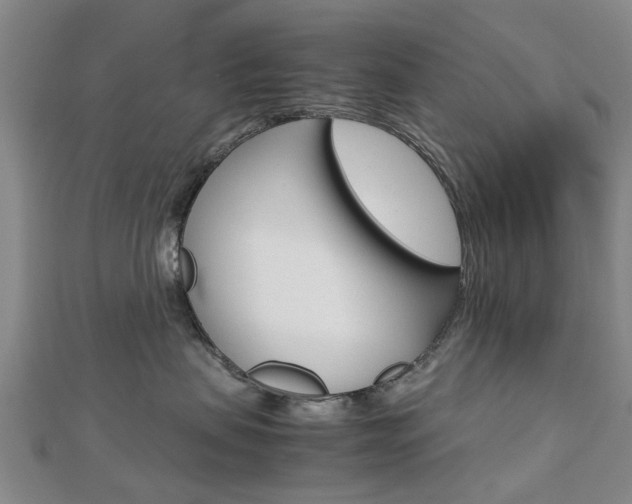 X0000112730479200908201017