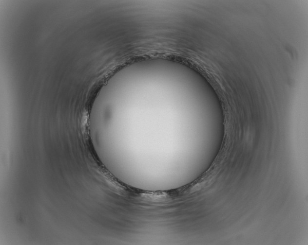 X0000112730480200908201017