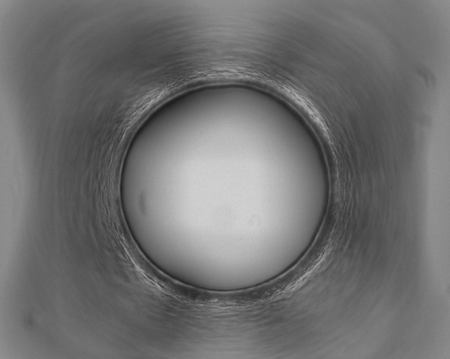 X0000112730481200908201016