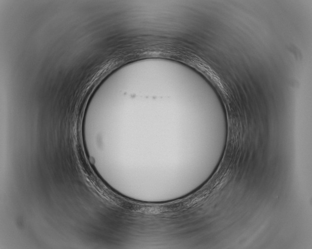 X0000112730482200908201016