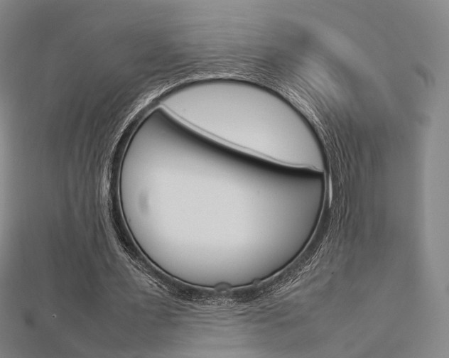 X0000112730483200908201016