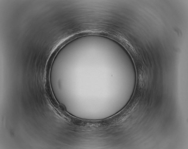 X0000112730484200908201016