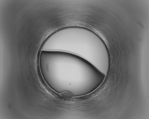 X0000112730485200908201016