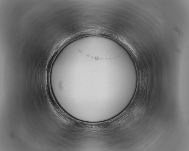 X0000112730486200908201016