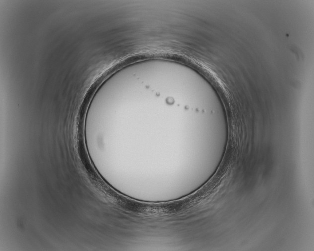 X0000112730487200908201016