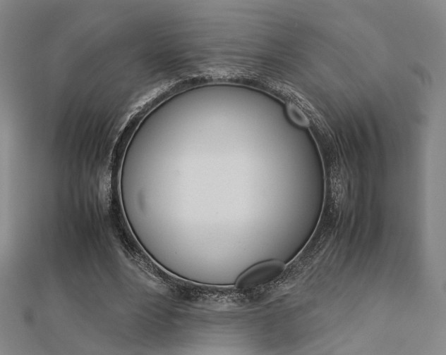 X0000112730488200908201016