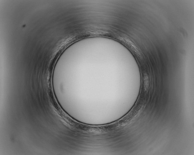 X0000112730490200908201016