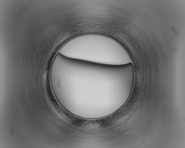 X0000112730491200908201016