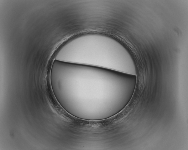X0000112730492200908201016