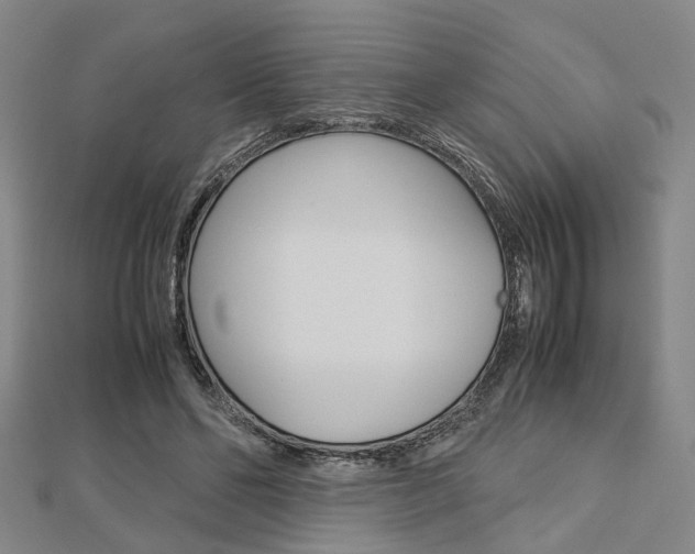 X0000112730494200908201016