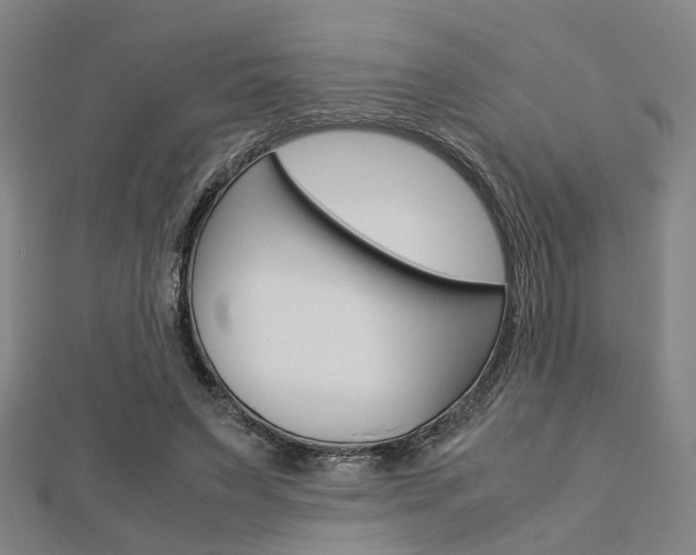 X0000112730495200908201016