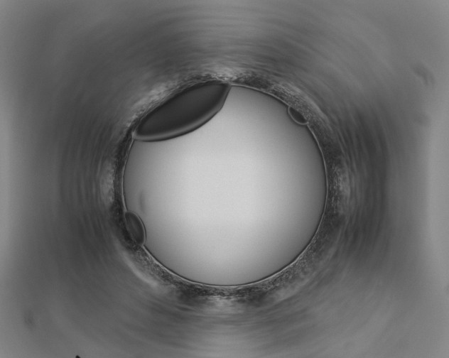X0000112730496200908201016