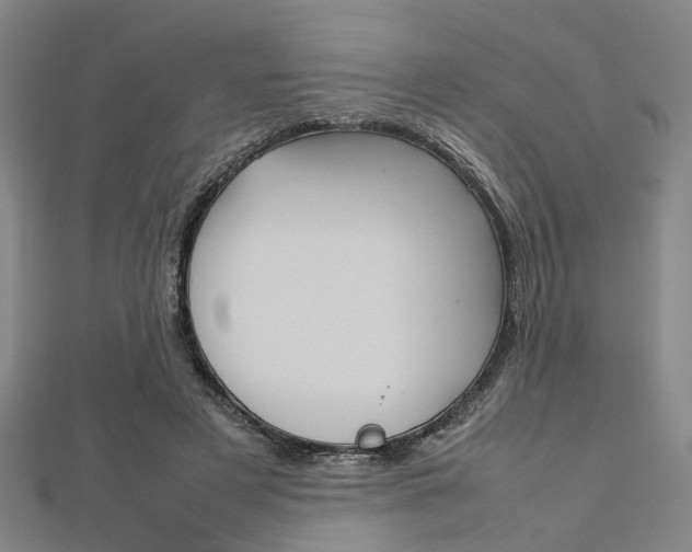 X0000112730497200908201016