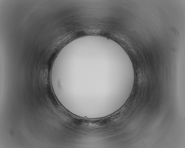 X0000112730498200908201016