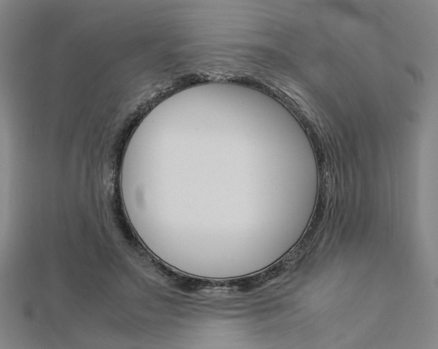 X0000112730499200908201016
