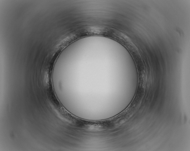 X0000112730500200908201016