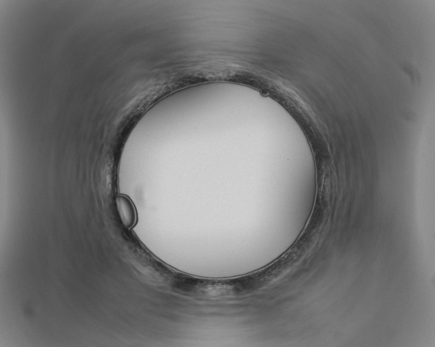 X0000112730501200908201016
