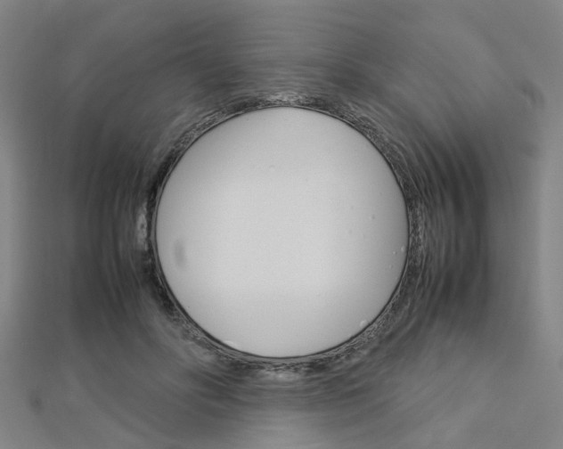 X0000112730502200908201016