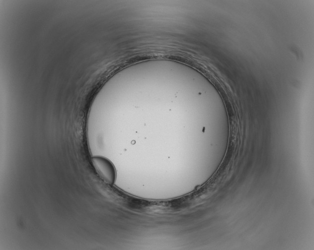 X0000112730505200908201016