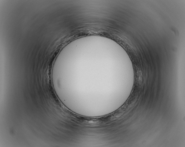 X0000112730506200908201016