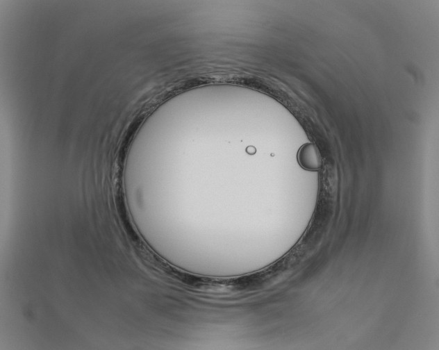 X0000112730507200908201016