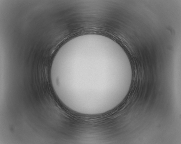 X0000112730508200908201016