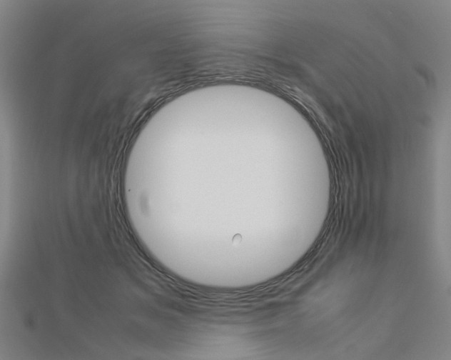 X0000112730509200908201016