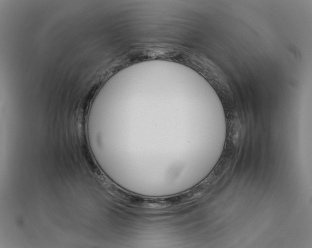 X0000112730510200908201016