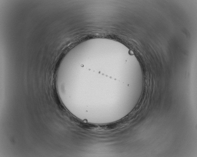 X0000112730511200908201016