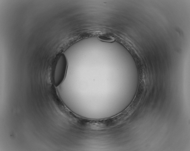 X0000112730512200908201016
