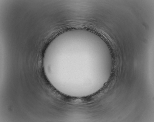 X0000112730513200908201016