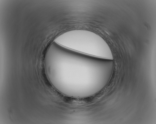 X0000112730515200908201016