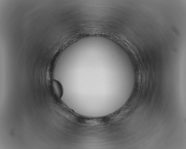 X0000112730516200908201016