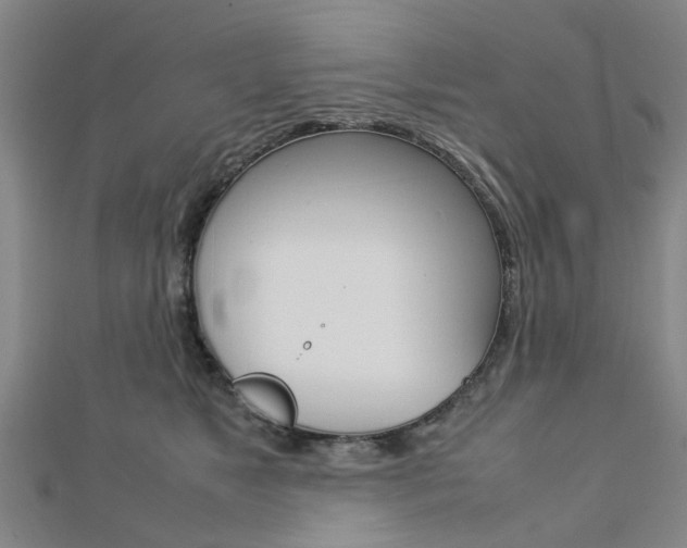 X0000112730517200908201016