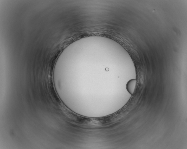 X0000112730518200908201016