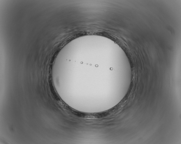 X0000112730519200908201016