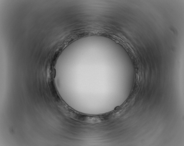 X0000112730520200908201016