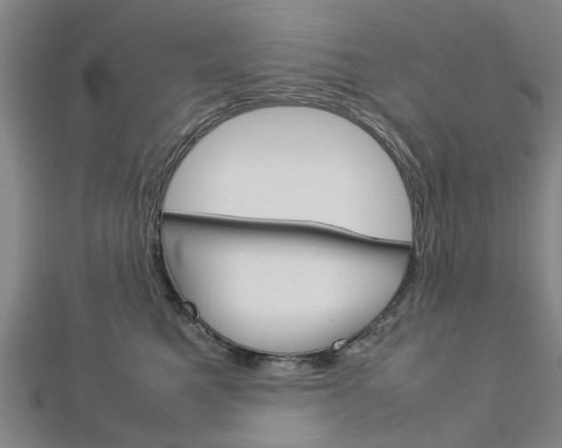 X0000112730521200908201016