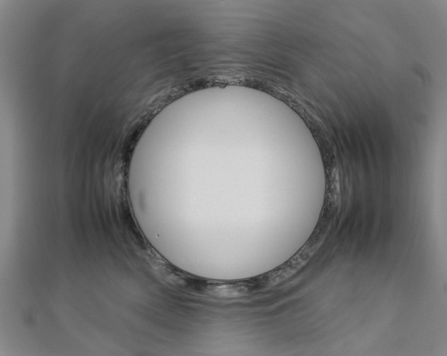 X0000112730522200908201016