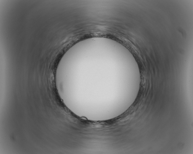 X0000112730523200908201016