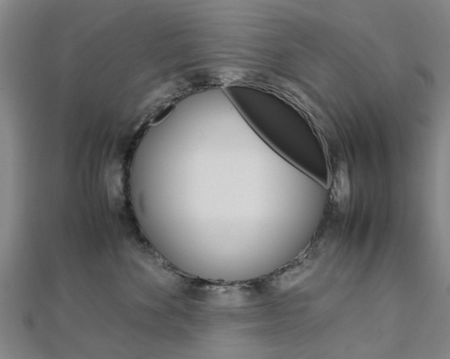 X0000112730524200908201016