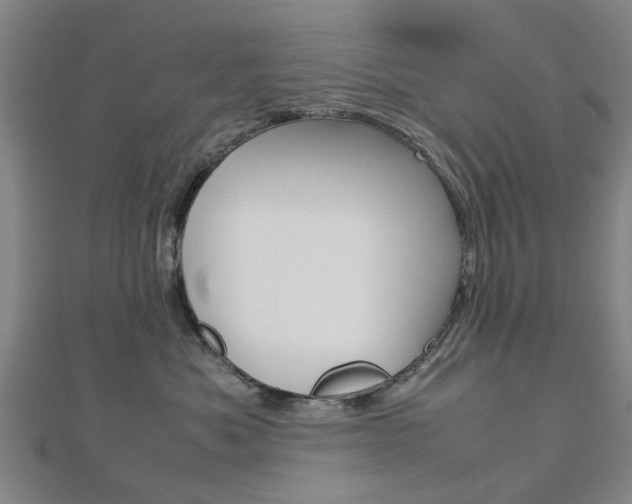 X0000112730525200908201016