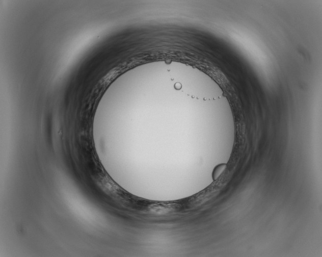 X0000112730526200908201016