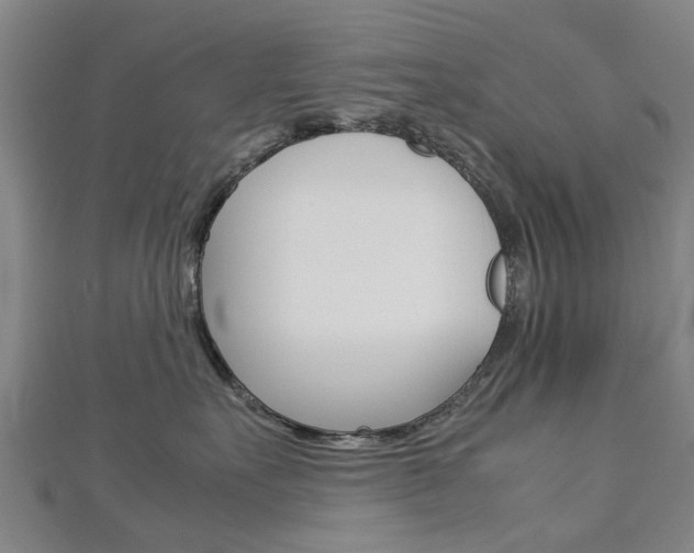X0000112730527200908201016