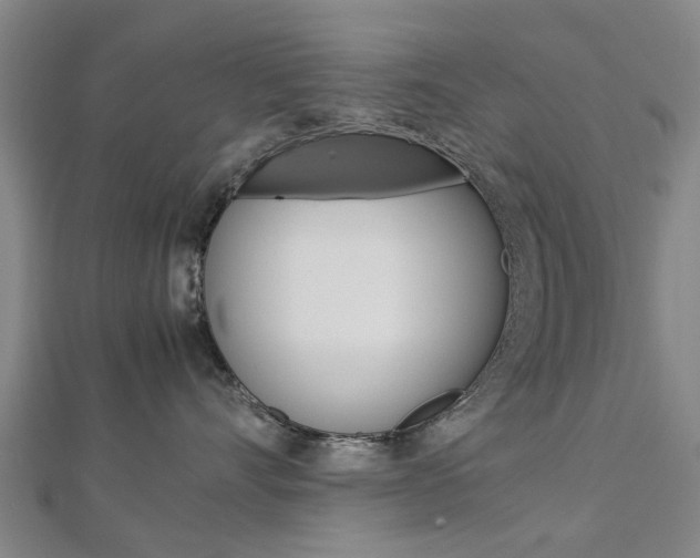 X0000112730528200908201016