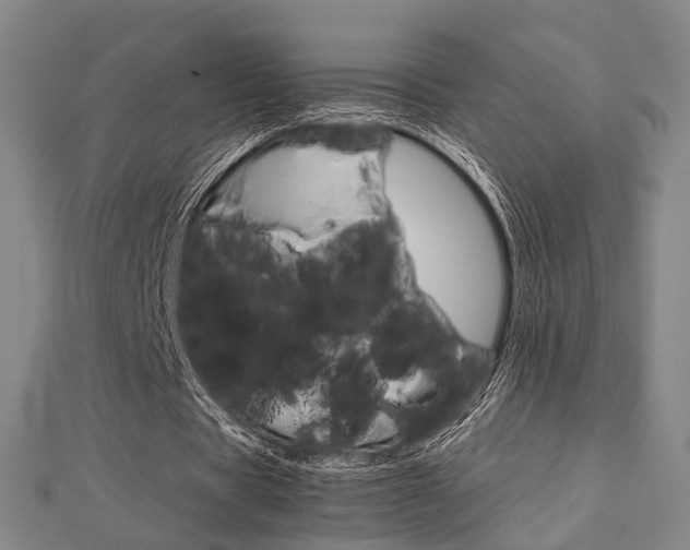 X0000112730529200908201015