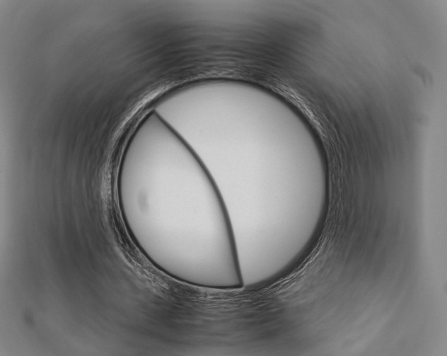 X0000112730531200908201015