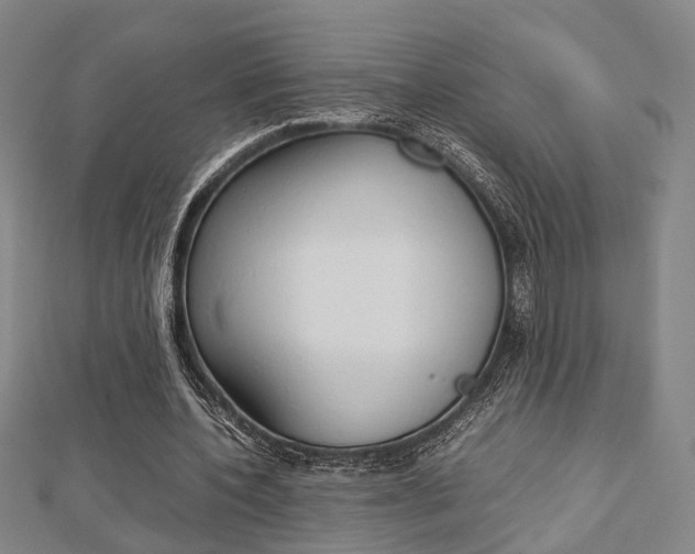 X0000112730532200908201015